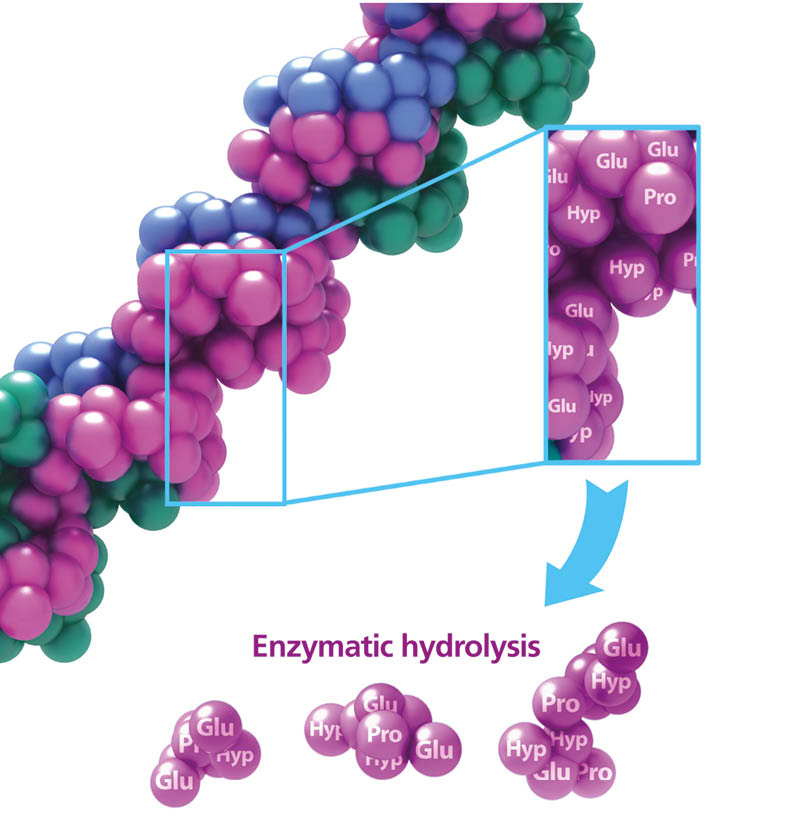 Enzymatic hydrolysis